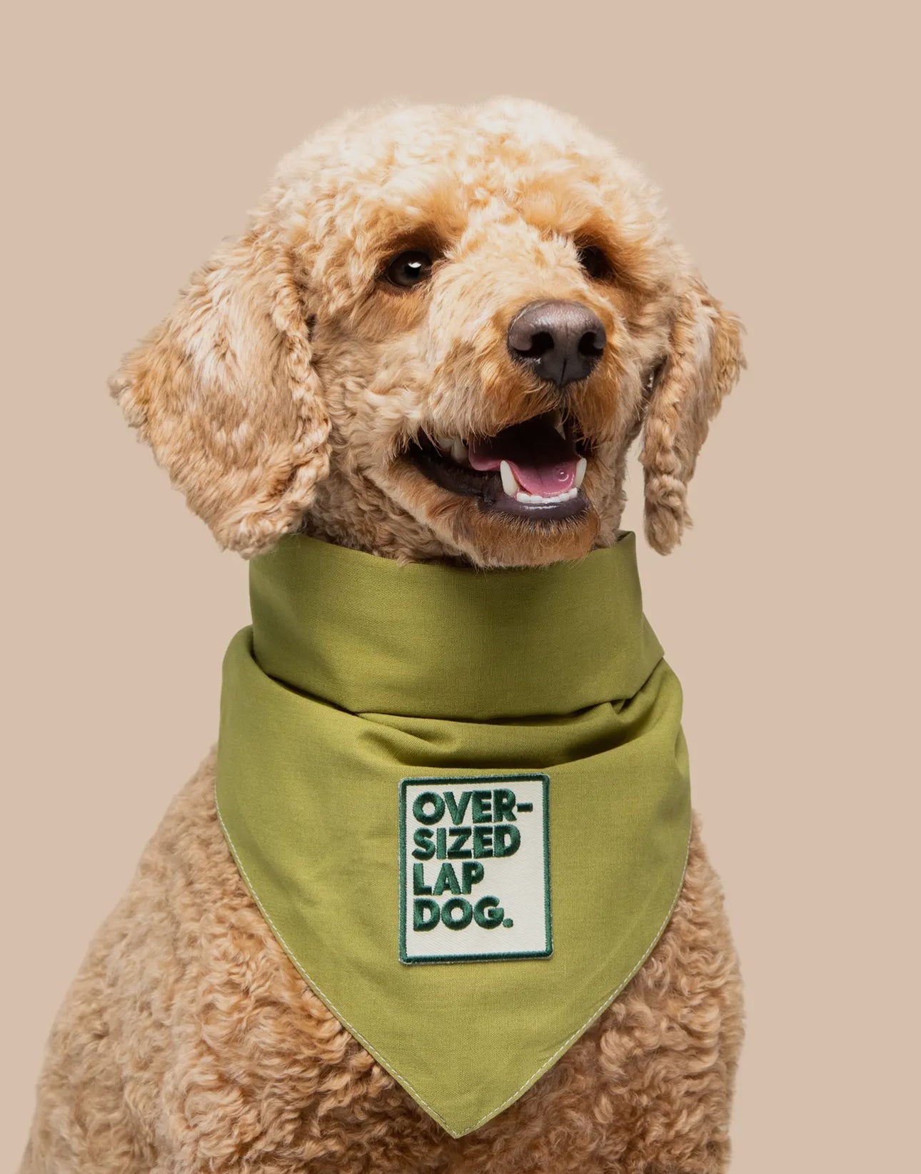 Custom Dog Bandana (Small Dog) - Wild Child Hat CoWild Child Hat CoDog Bandana