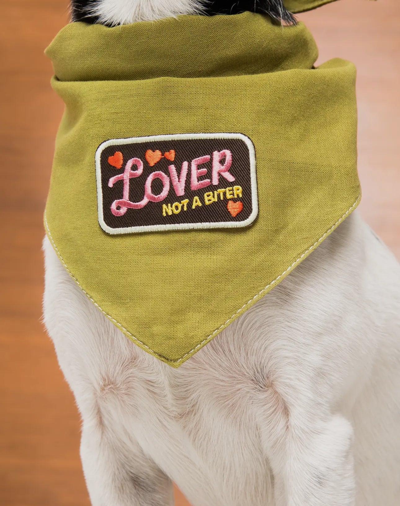 Custom Dog Bandana (Small Dog) - Wild Child Hat CoWild Child Hat CoDog Bandana