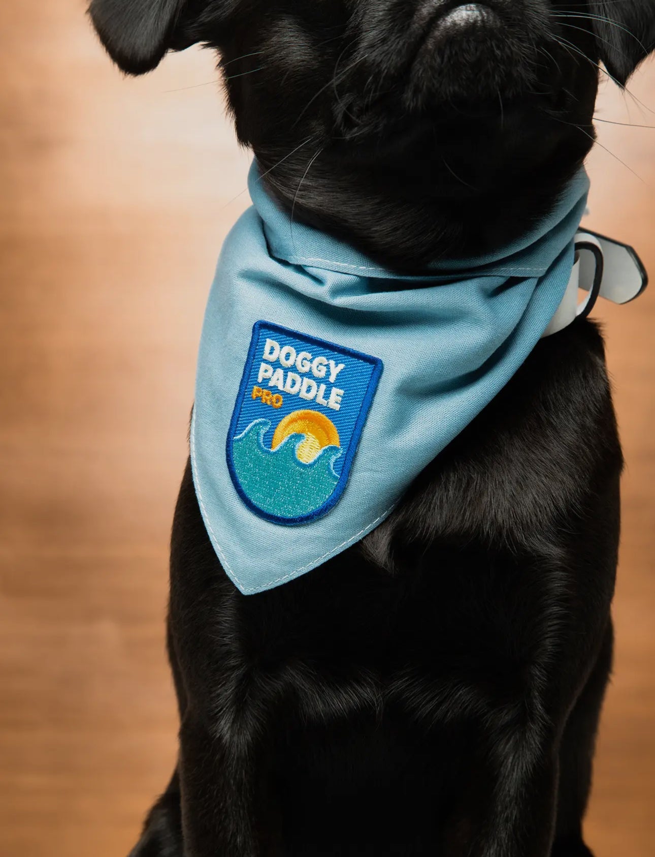 Custom Dog Bandana (Small Dog) - Wild Child Hat CoWild Child Hat CoDog Bandana