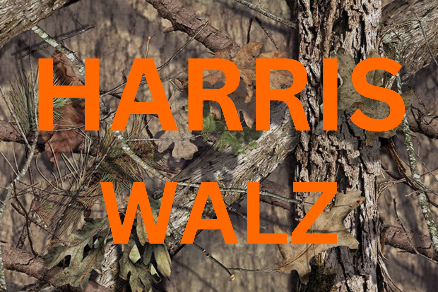 Harris Walz Midwest Princess Yard Sign 12x18, one sided sign - Wild Child Hat CoWild Child Hat CoSign