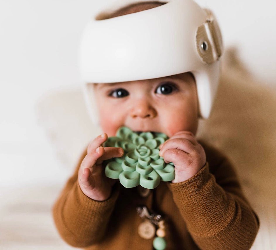 Succulent Teether - Wild Child Hat CoGolden BabyTeether