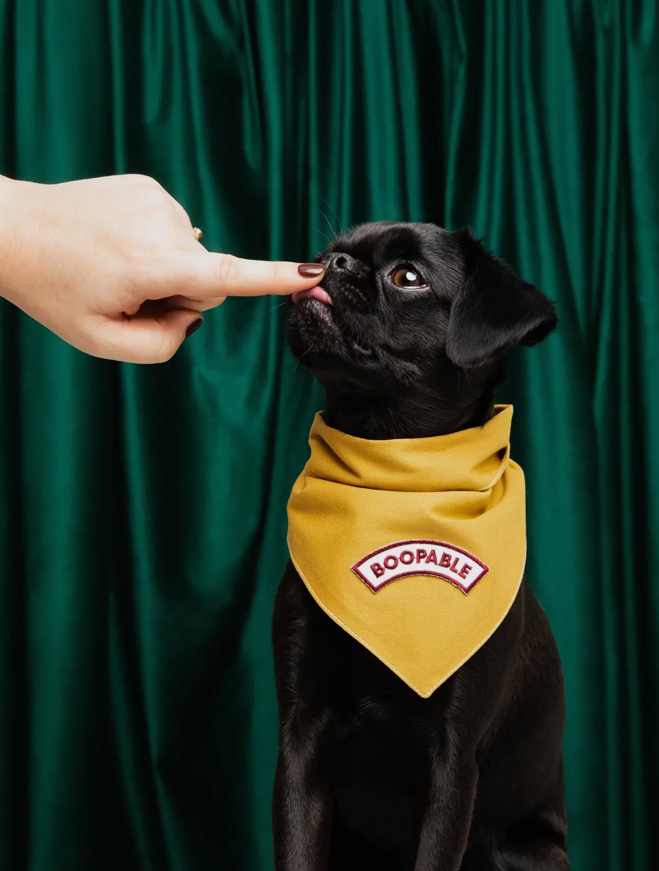 Custom Dog Bandana Large